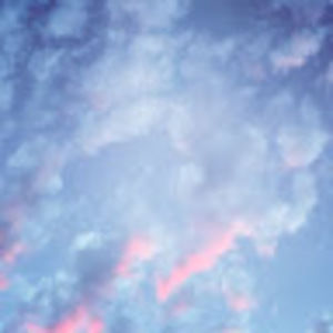 Meet your Posher, Siani